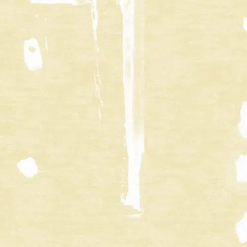 LTK-PY01-color.webp