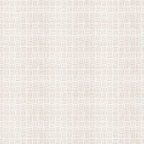 LTO-BK02-color.webp