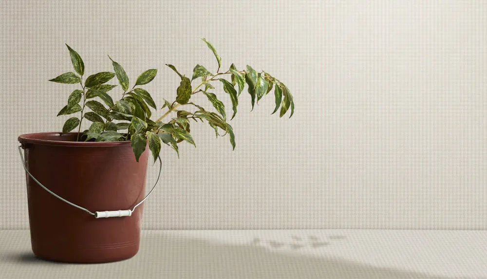 LIMELIGHT（ライムライト）のLTO-CI01はデザイナーズのクラウディーチドリのベージュ色。 インテリアスタイリストの大谷由衣さんとのコラボ柄であり、無地のように扱える柄であるため、オフィスや店舗はもちろん、住空間へナチュラルテイストを加えたい際に最適な壁紙クロス。